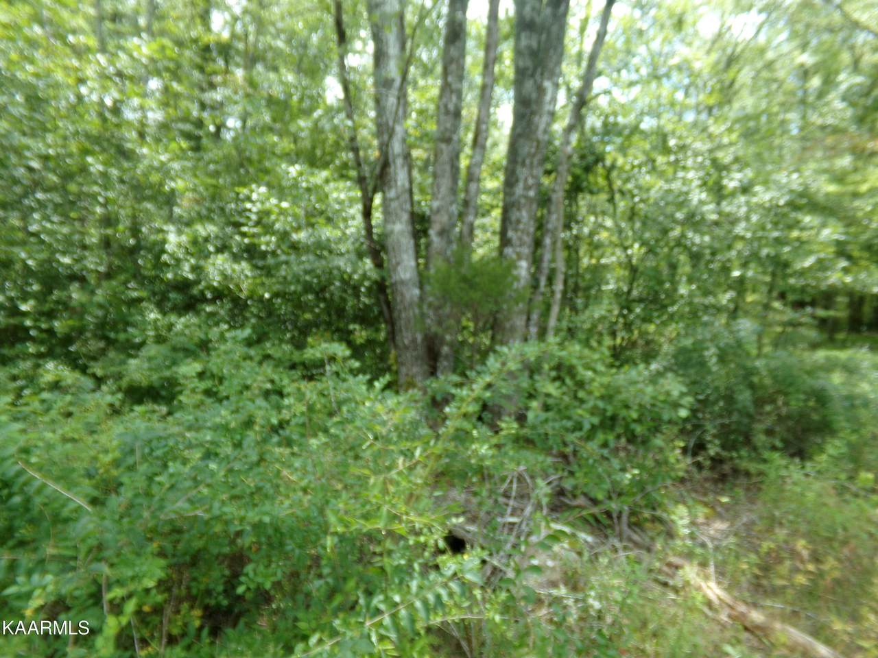 https://bt-photos.global.ssl.fastly.net/kaar/1280_boomver_2_1185089-2.jpg