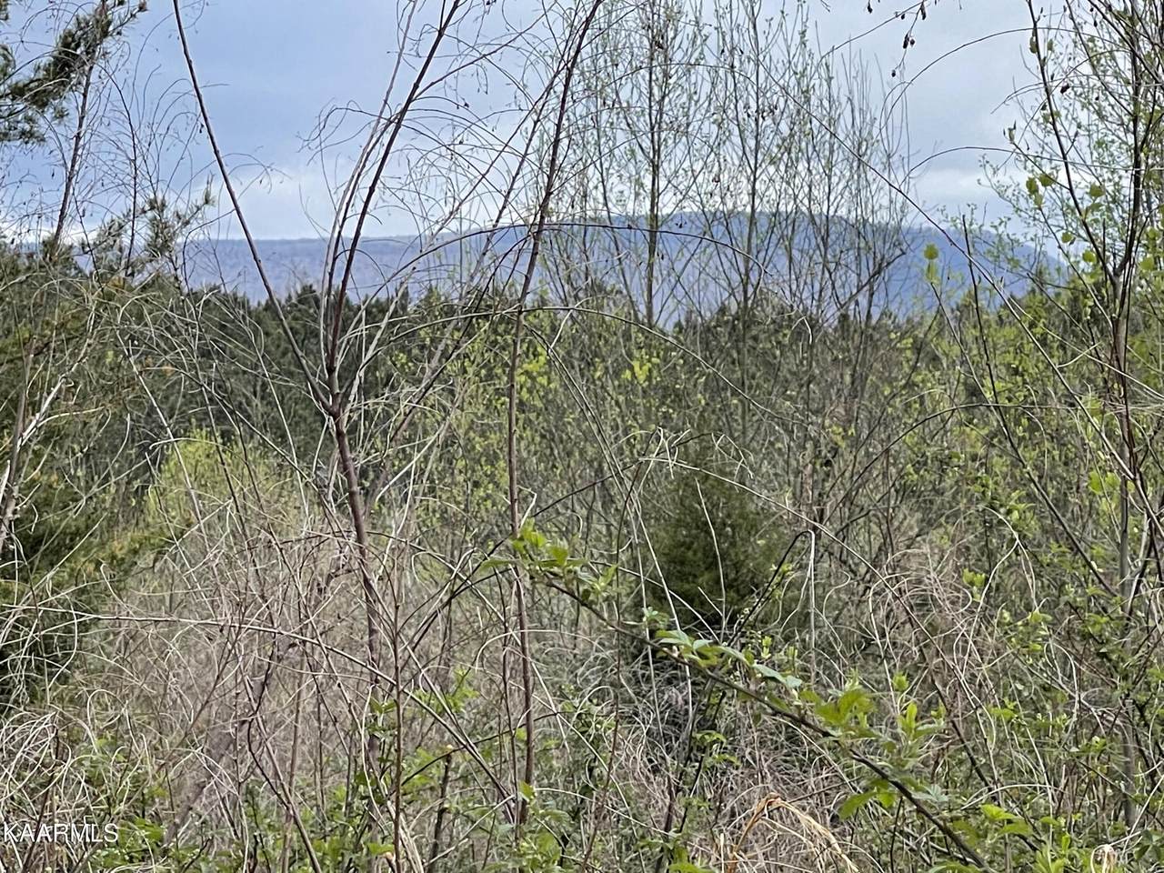 County Road 782 - Photo 1