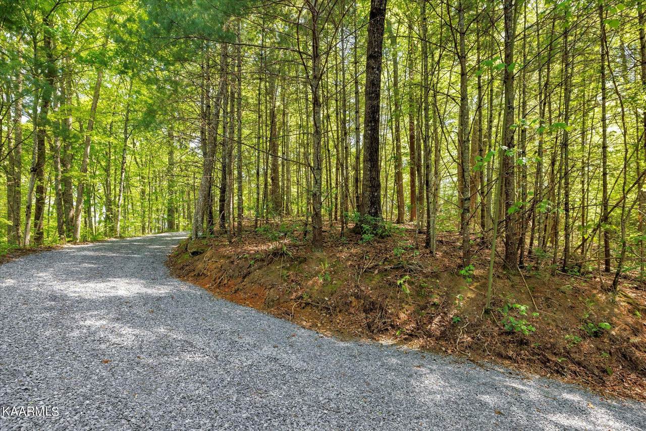 Lot 9 Cove Creek Way - Photo 1