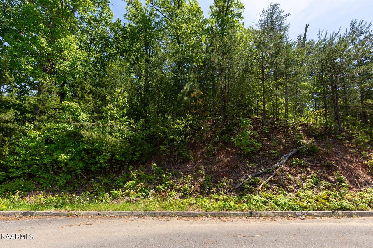 Lot 40 Little Round Top Lane - Photo 1