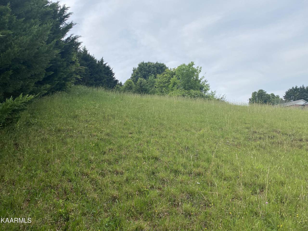 1566 Crestridge Drive - Photo 1