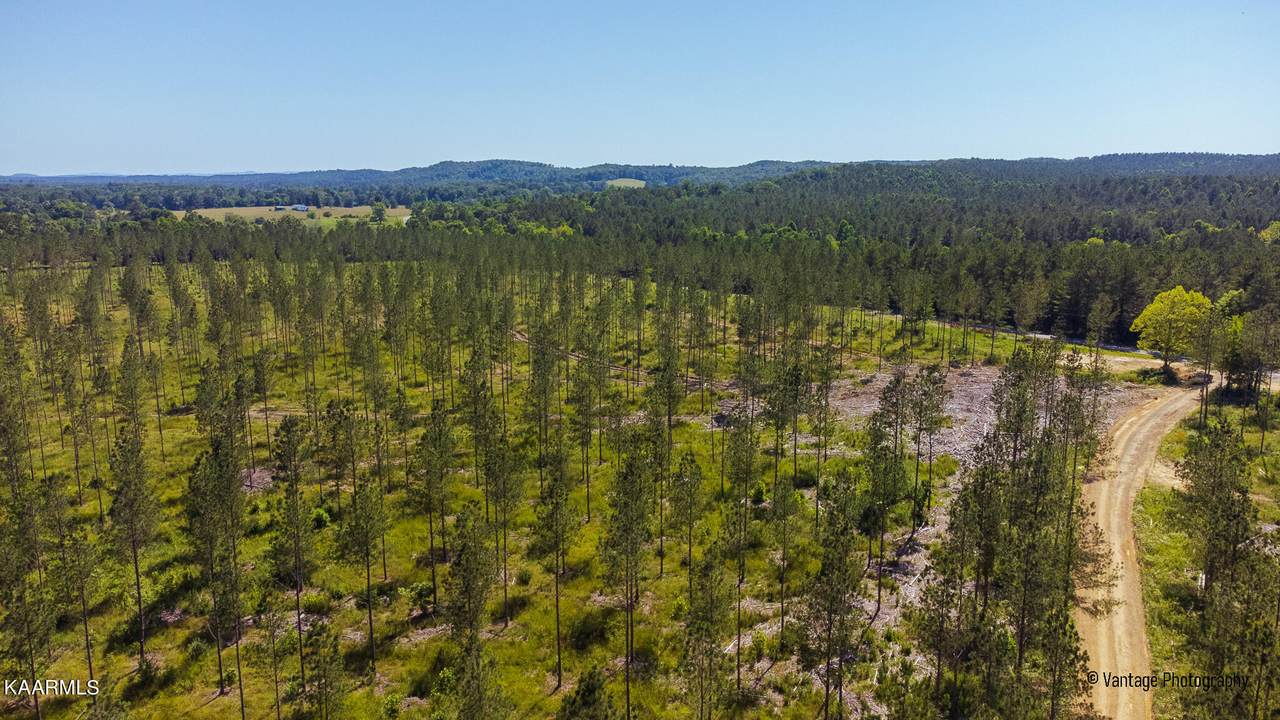 Tract 5 Hughes Lake Road Se - Photo 1