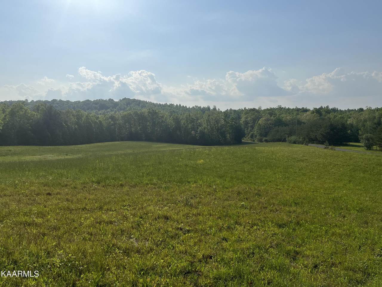 Walnut Hill Rd - Photo 1