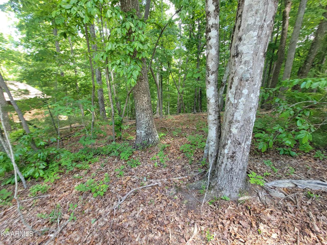 130 Pineridge Loop - Photo 1