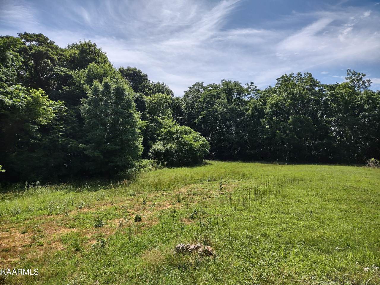 1609 Skaggs Branch Rd - Photo 1