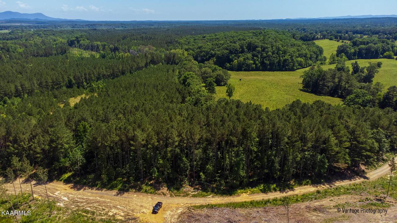 Tract 30 Hallowed Hills Lane - Photo 1