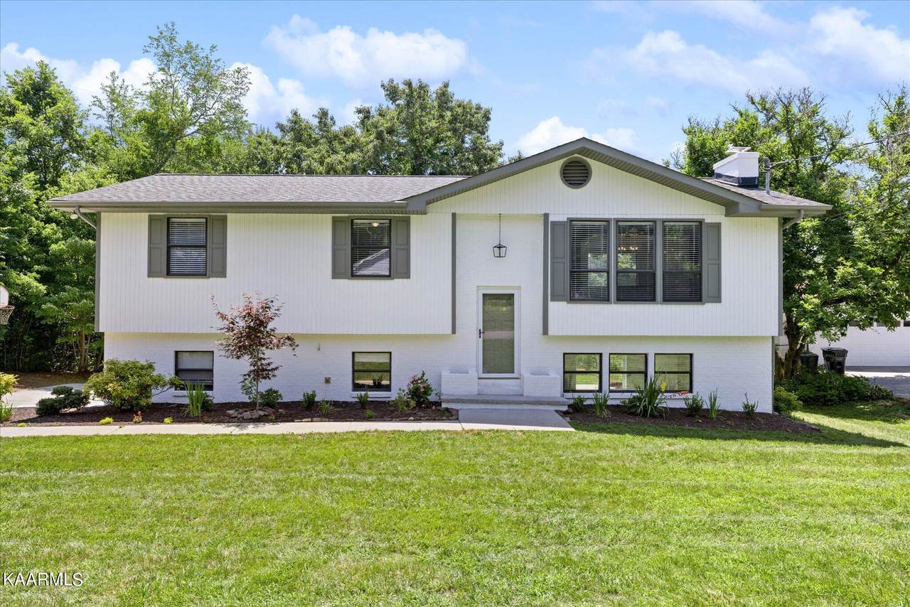 7634 Luscombe Drive - Photo 1