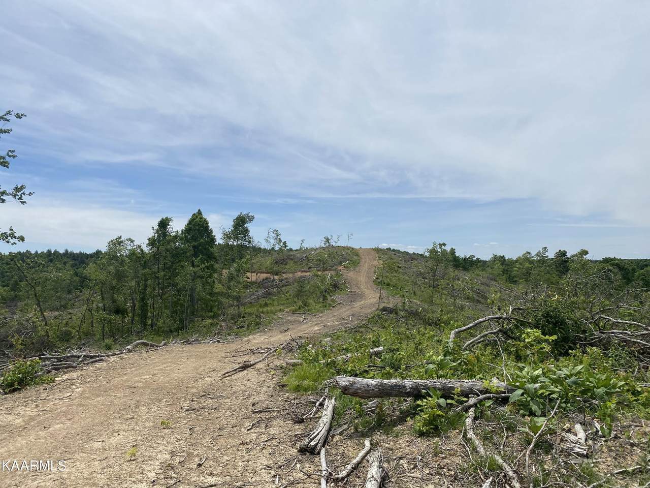 Skull Creek Rd - Photo 1