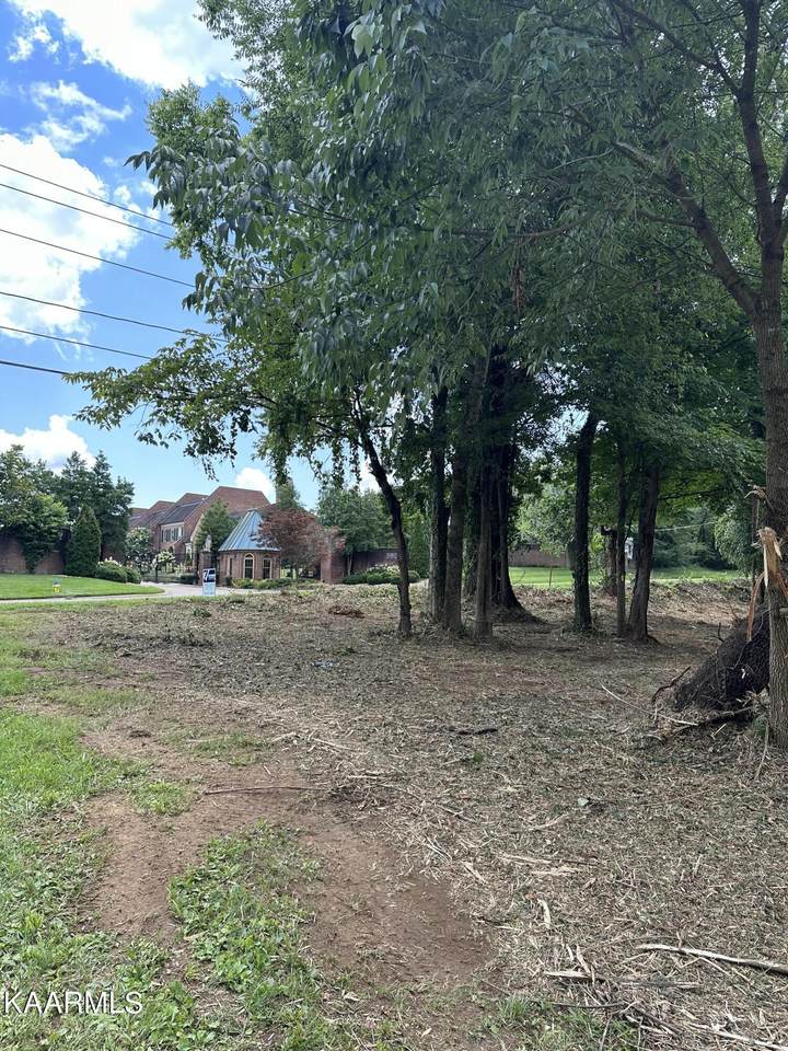 Lot 10 Kingston Court - Photo 1
