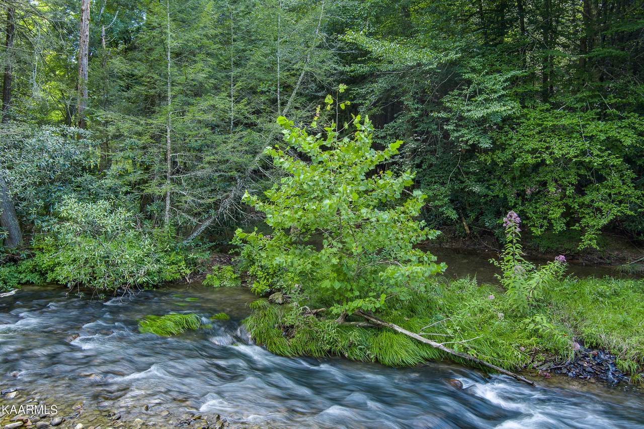 East Fork Of Obey - Photo 1