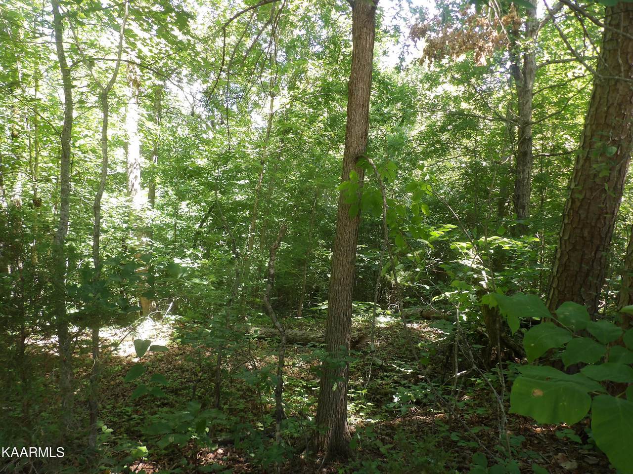 TBD Kingston Highway - Photo 1