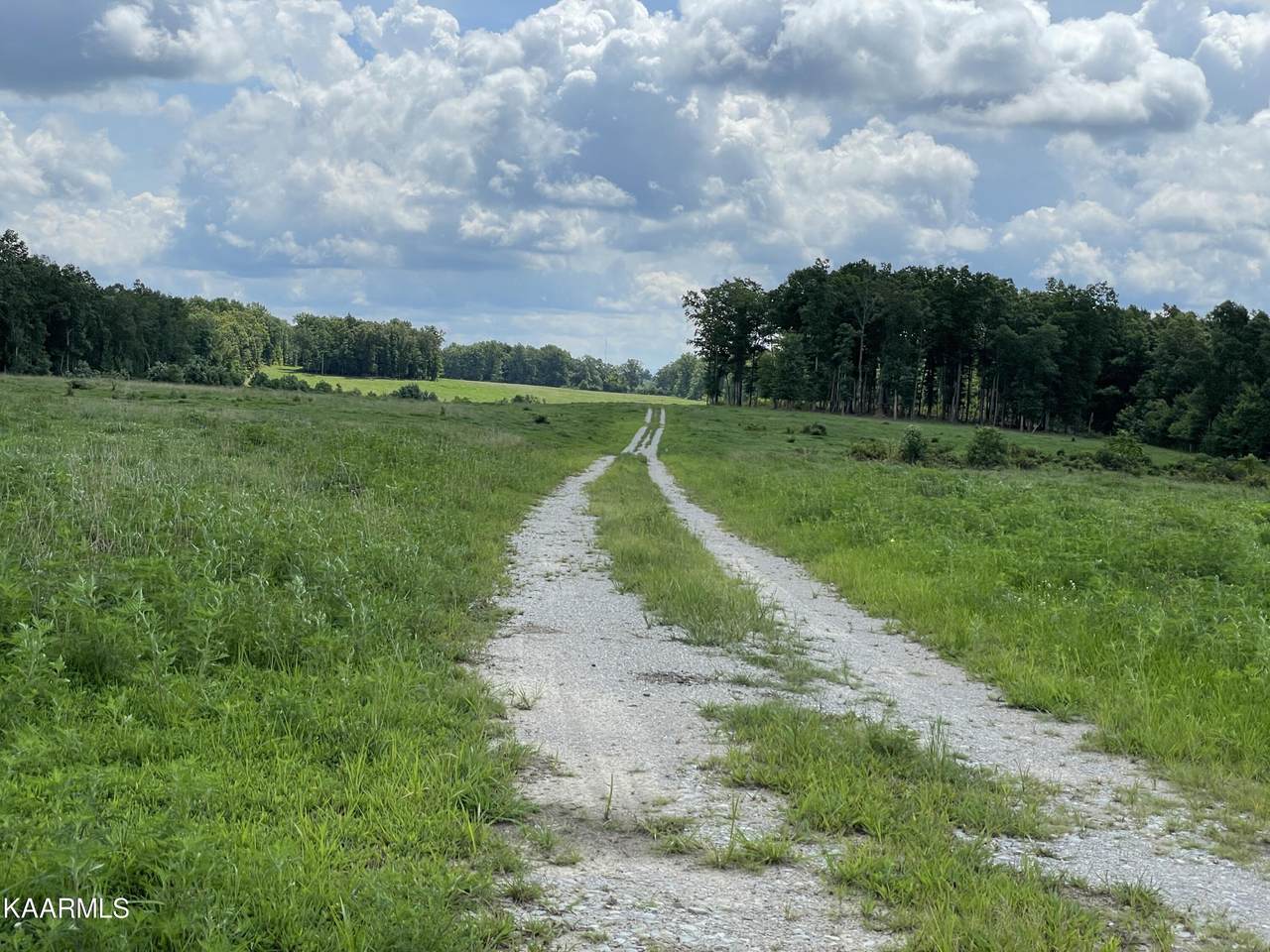 York Hwy - Photo 1