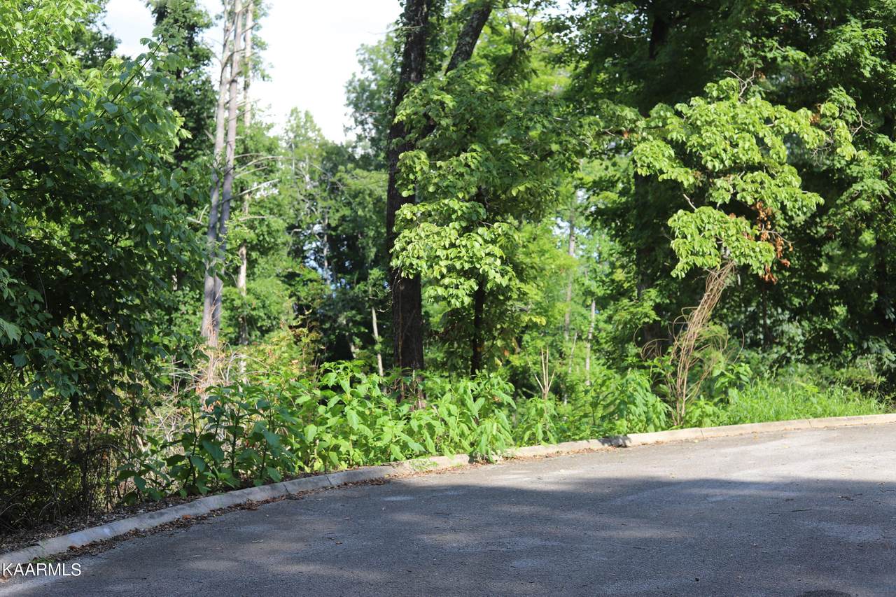 Alpine Drive Drive - Photo 1