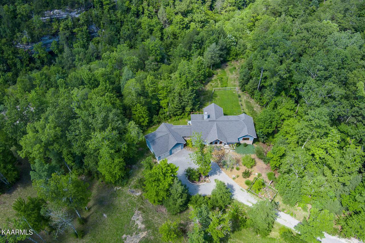 226 Big Leaf Cove Rd - Photo 1