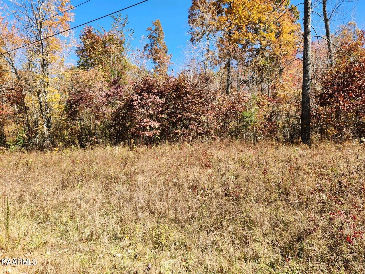 Maple Branch Rd - Photo 1