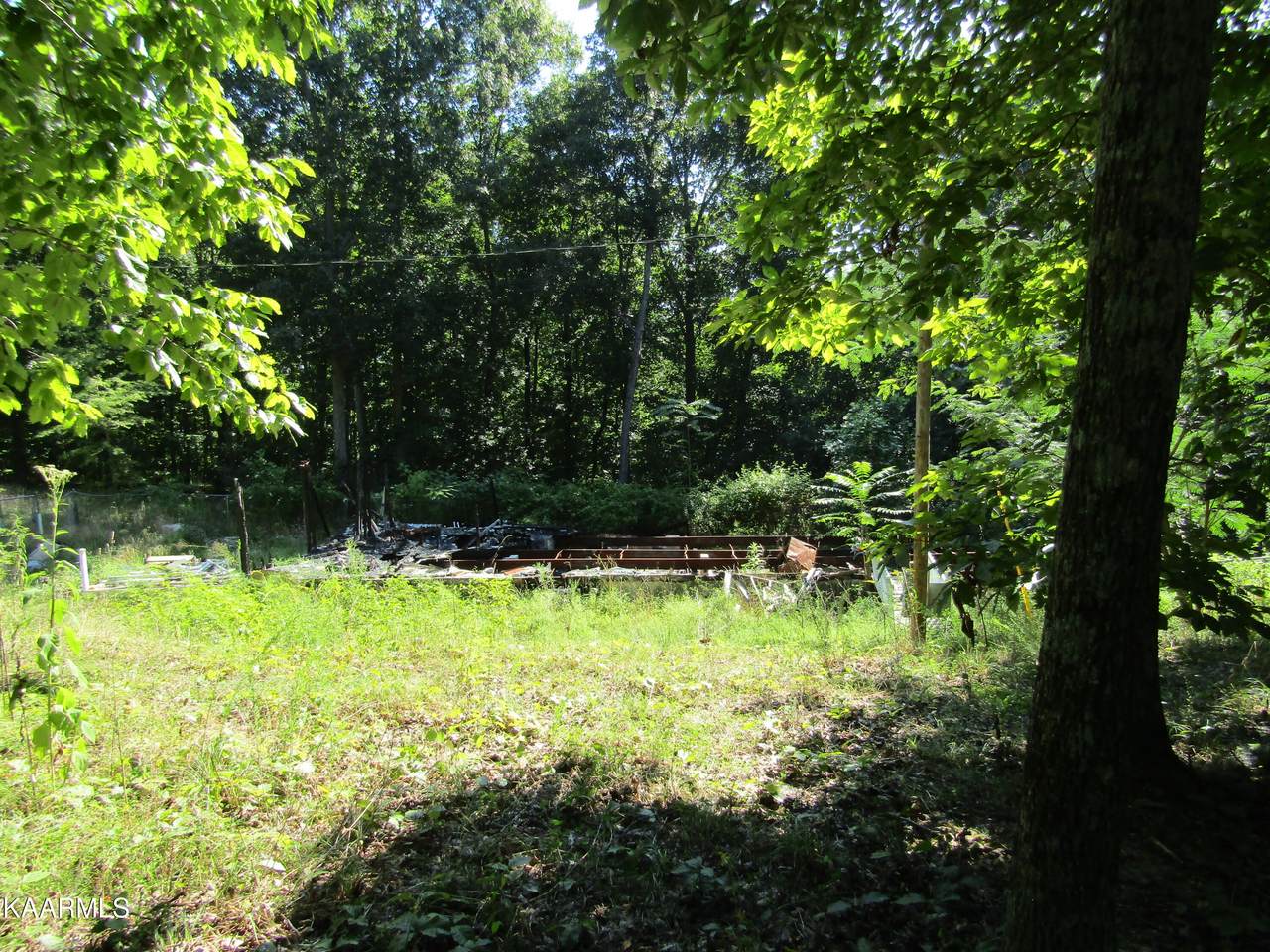 38 Buzzard Lane - Photo 1