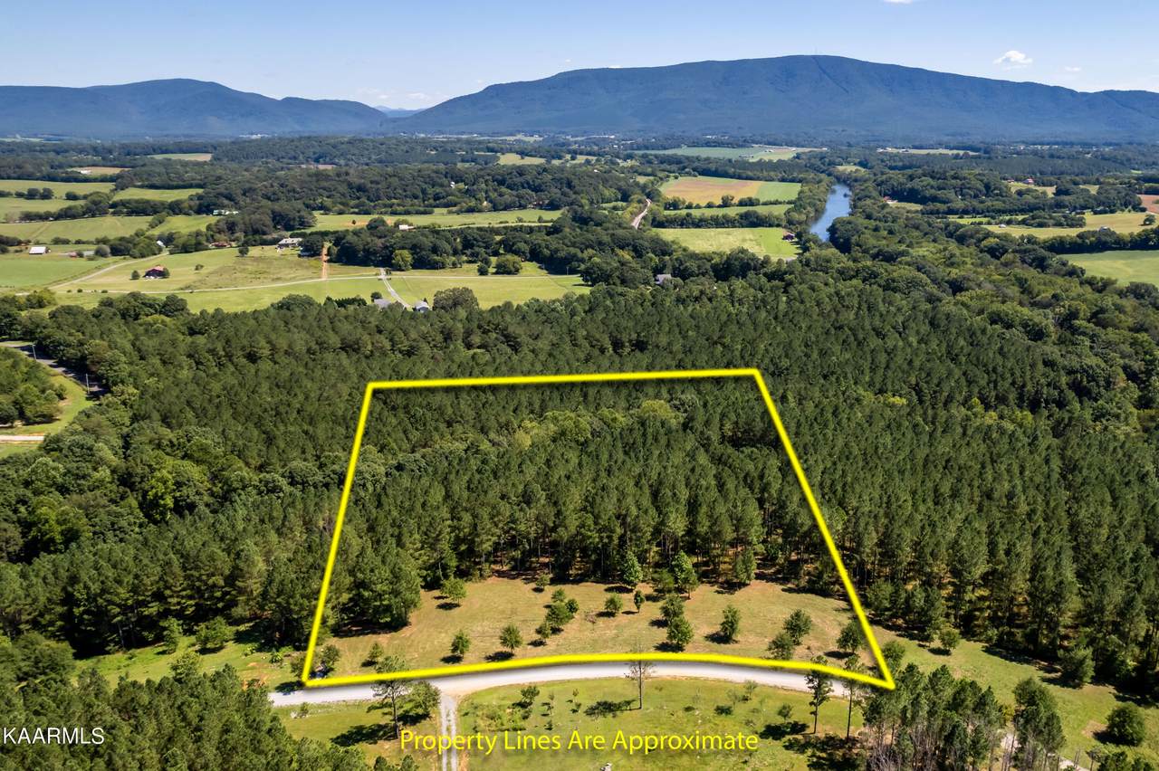 00 Hiwassee Trails Drive - Photo 1
