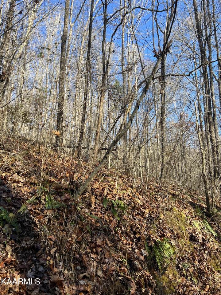 Elbow Hollow Lane - Photo 1