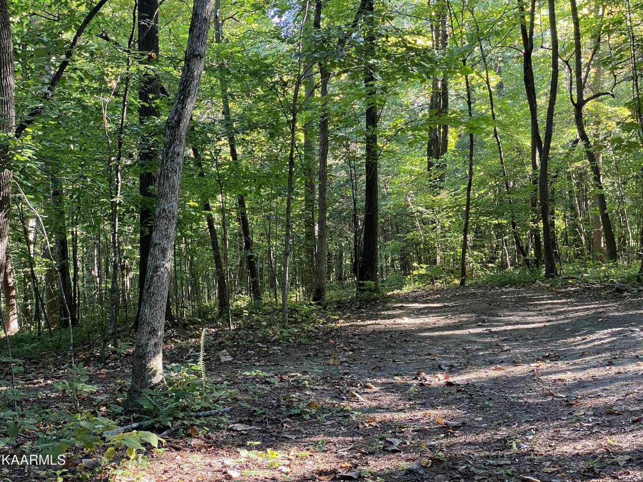 0 Conner Rd - Photo 1