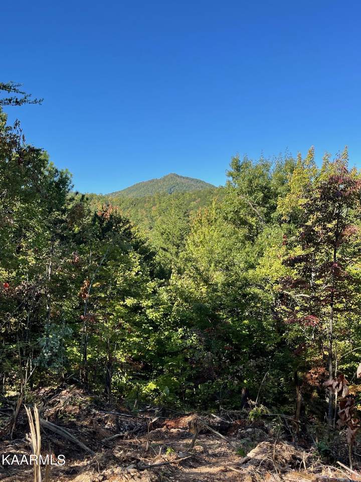 Lot 1 Caney Creek Rd - Photo 1