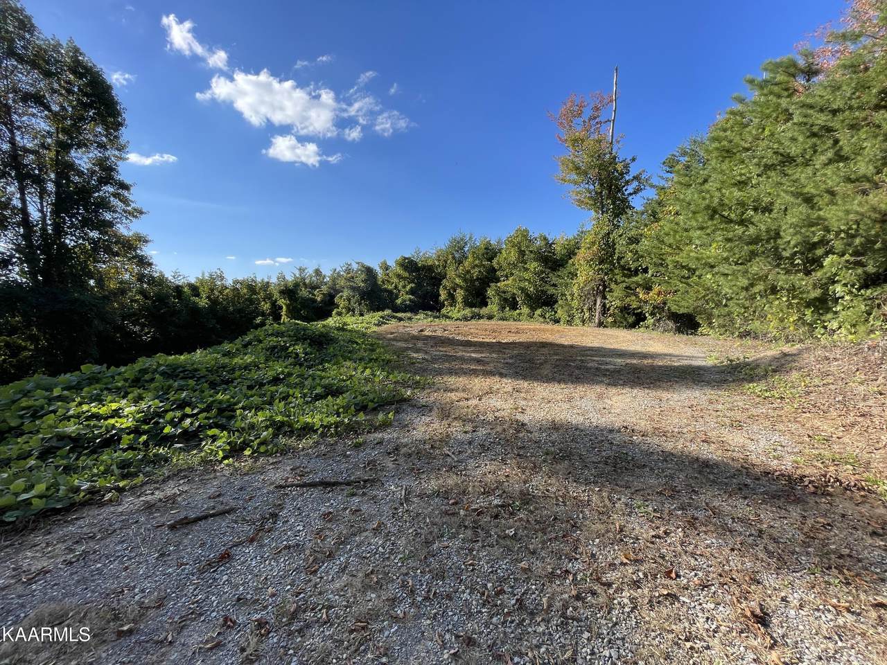 Big Creek Rd Rd - Photo 1