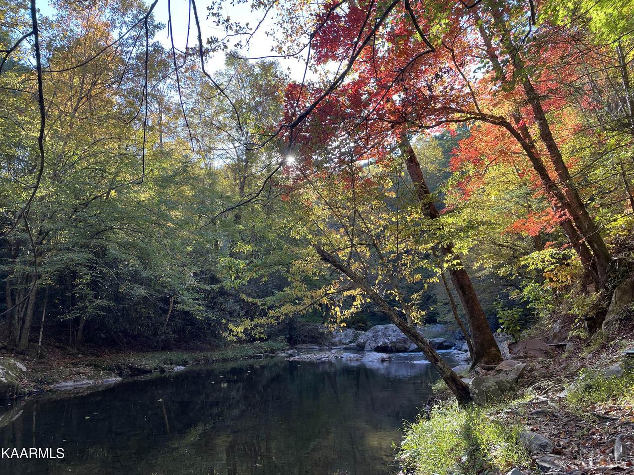 Big Creek Rd - Photo 1