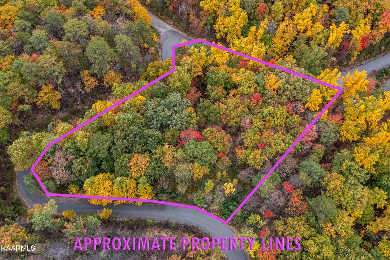 Lot 1 Lone Ridge Drive - Photo 1