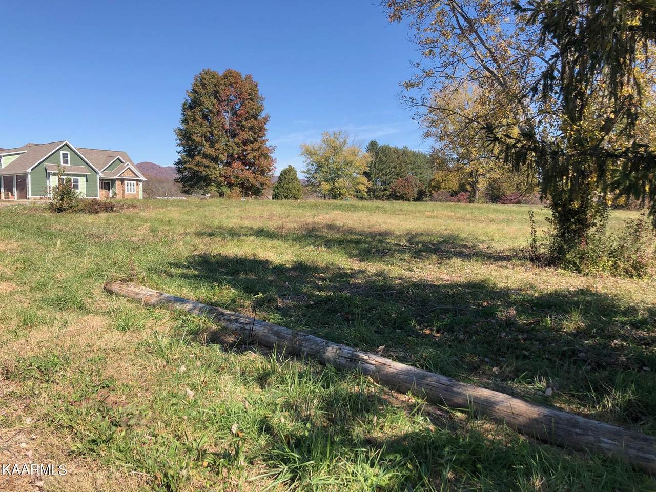 112 Auggie Belle Lane - Photo 1