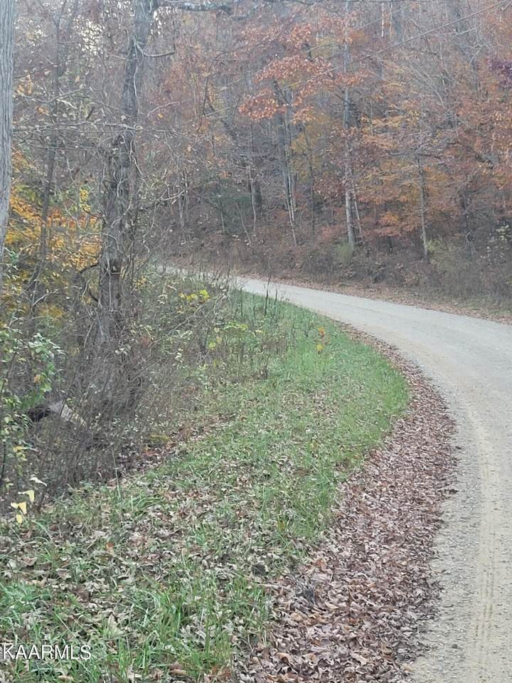 Wolf Creek Rd - Photo 1
