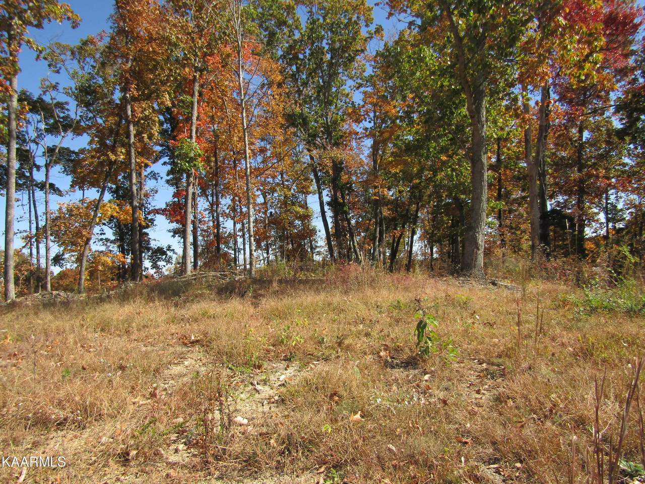 20.50 ac Old Hwy 52 West Loop - Photo 1