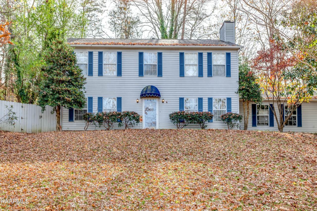 113 Carson Lane - Photo 1