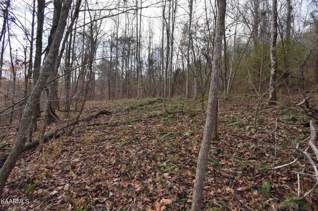 00 Ferguson Cemetery Rd - Photo 1
