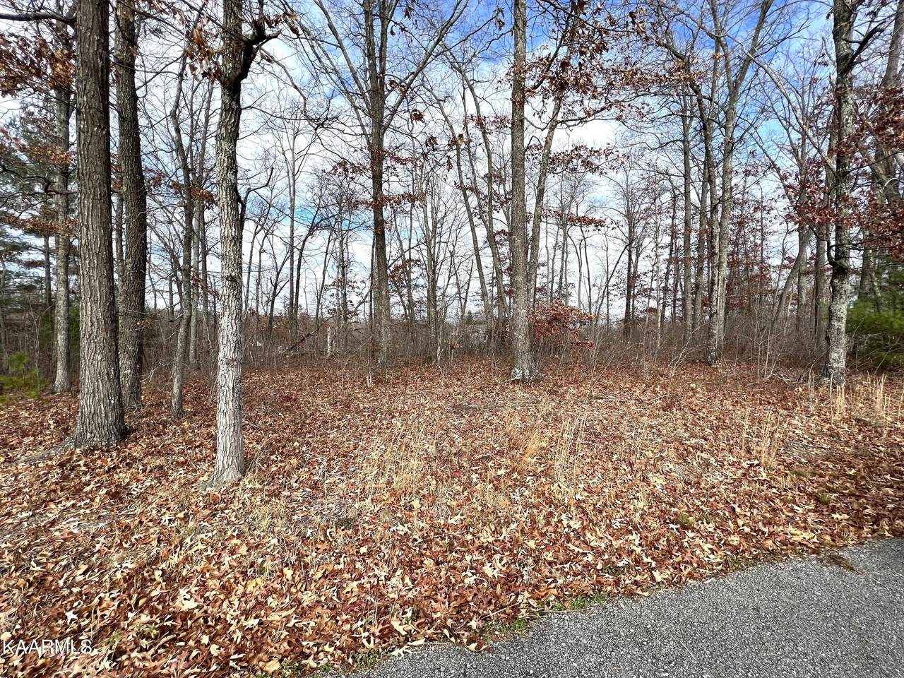 Mtn Preserve Trail Lot #22 - Photo 1