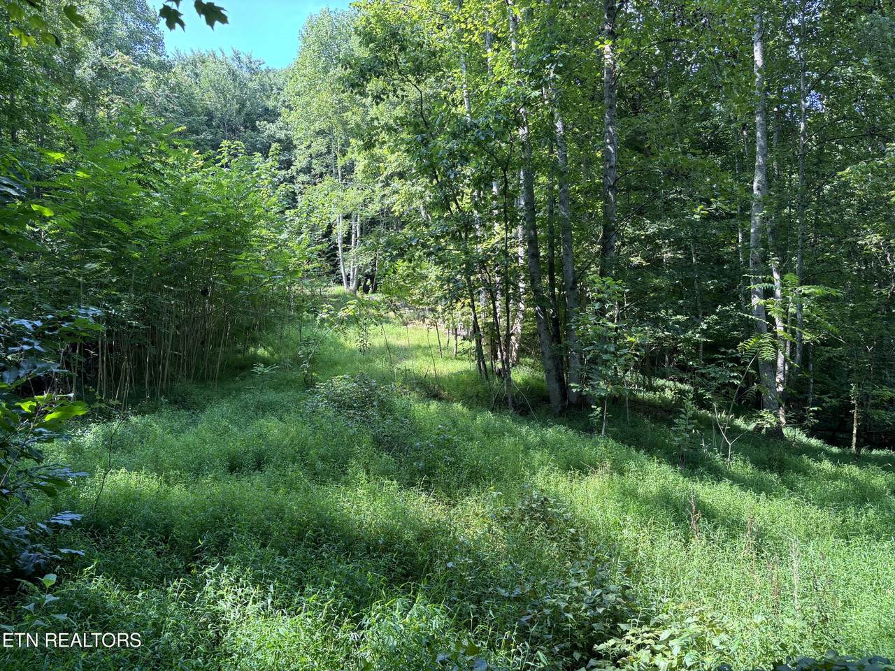 1508 Governor John Sevier Hwy - Photo 1