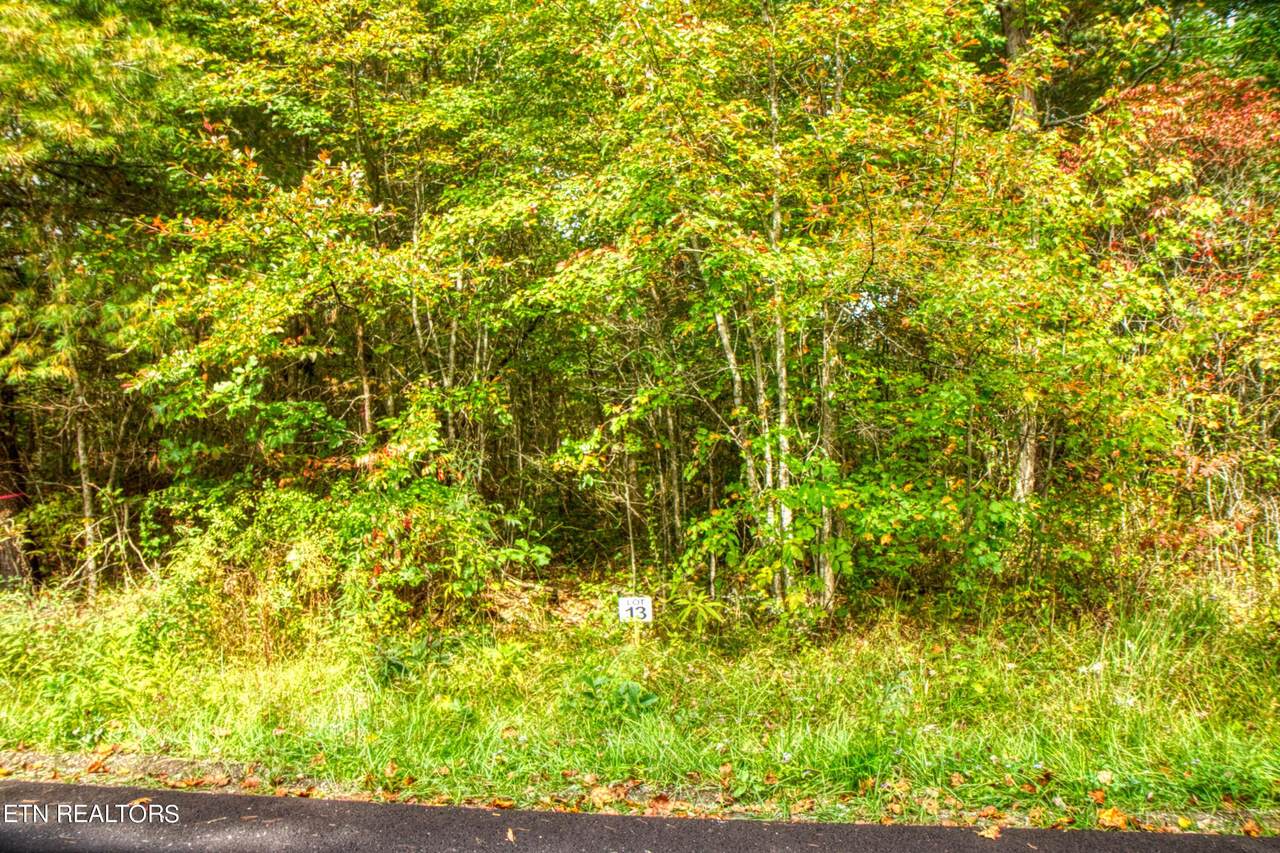Lot 13 Old Mt Helen Rd - Photo 1