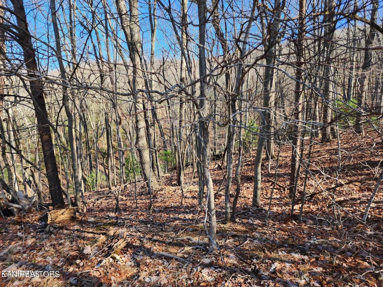 56 Homberg Lane - Photo 1
