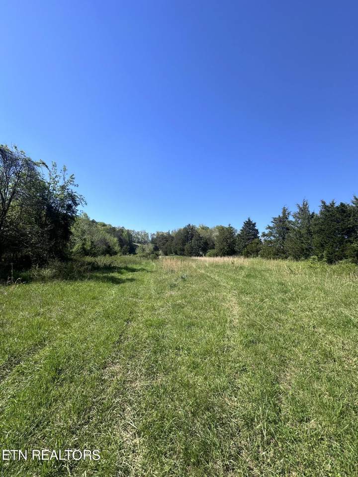 Fork Branch Rd - Photo 1