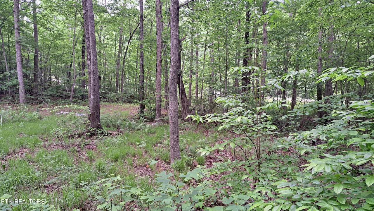 Hill Rd - Photo 1