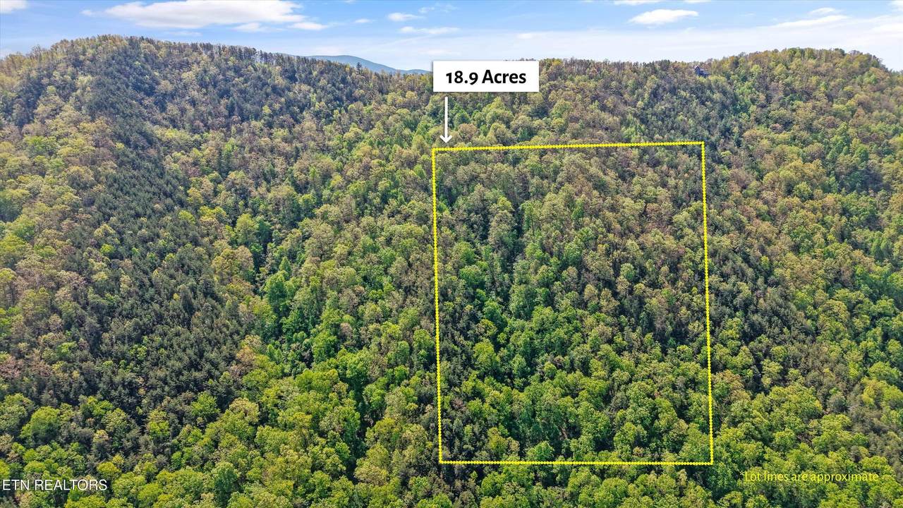 Tract 1-2 Chilhowee Tr - Photo 1