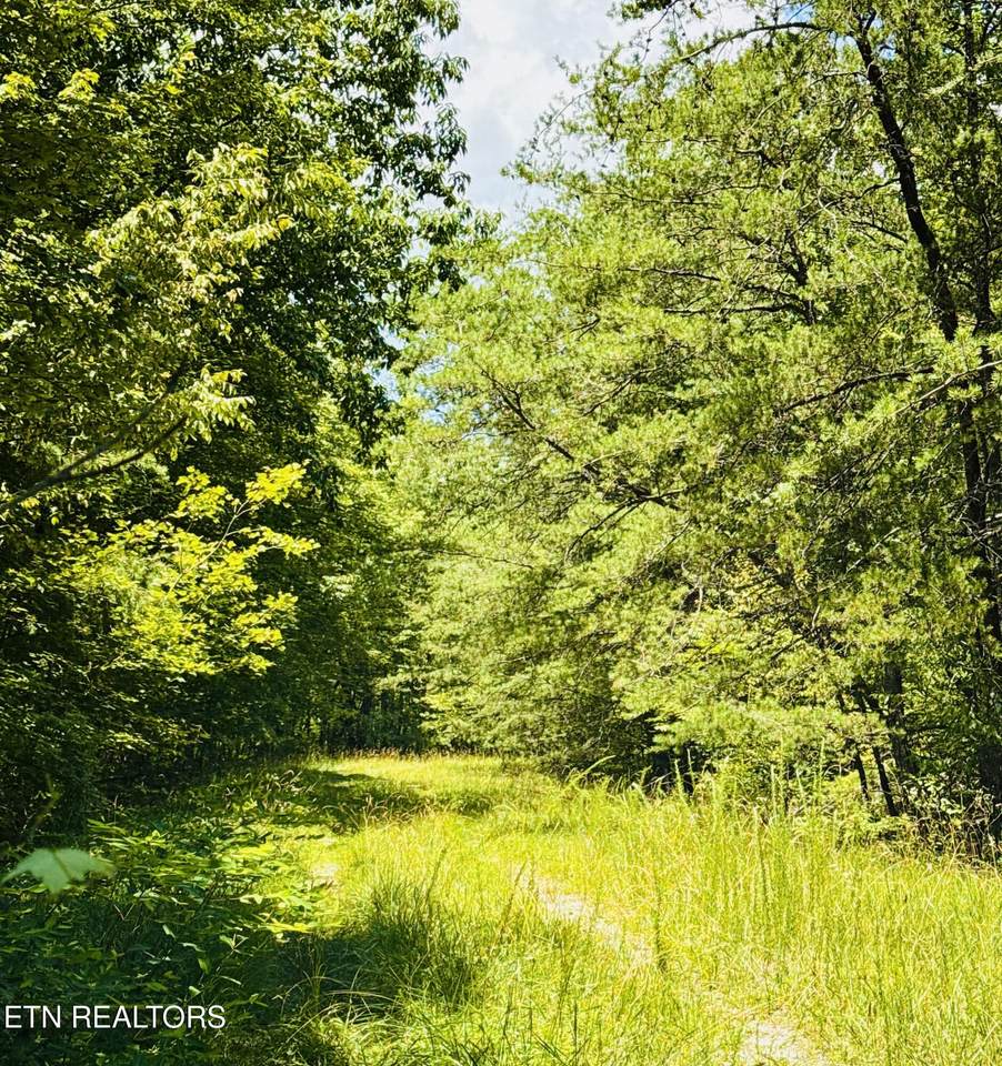 117 Greenwell Rd - Photo 1