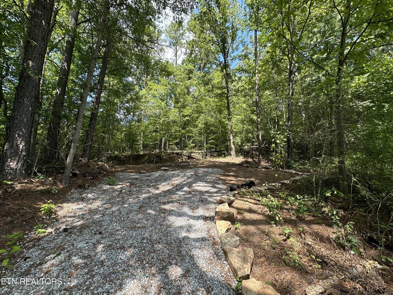 Paint Rock Rd - Photo 1