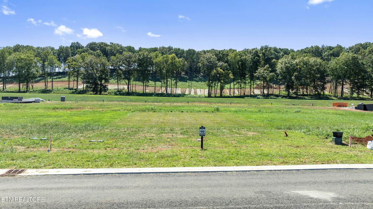 980 Black Bear Circle - Photo 1