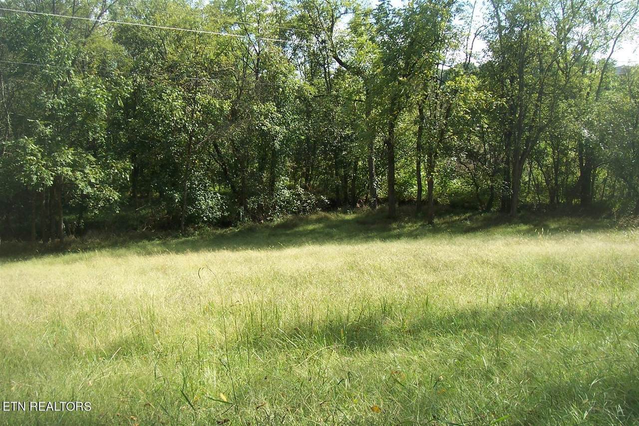 Lot 2R-1 Chapman Highway - Photo 1