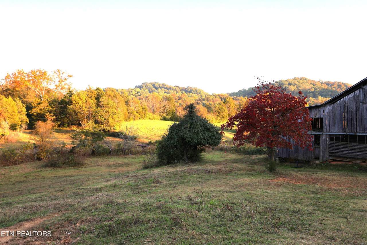 Tract A Haws Rd - Photo 1