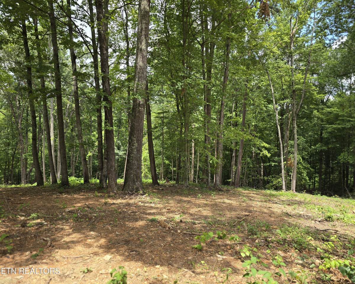 248 Norman Rd - Photo 1