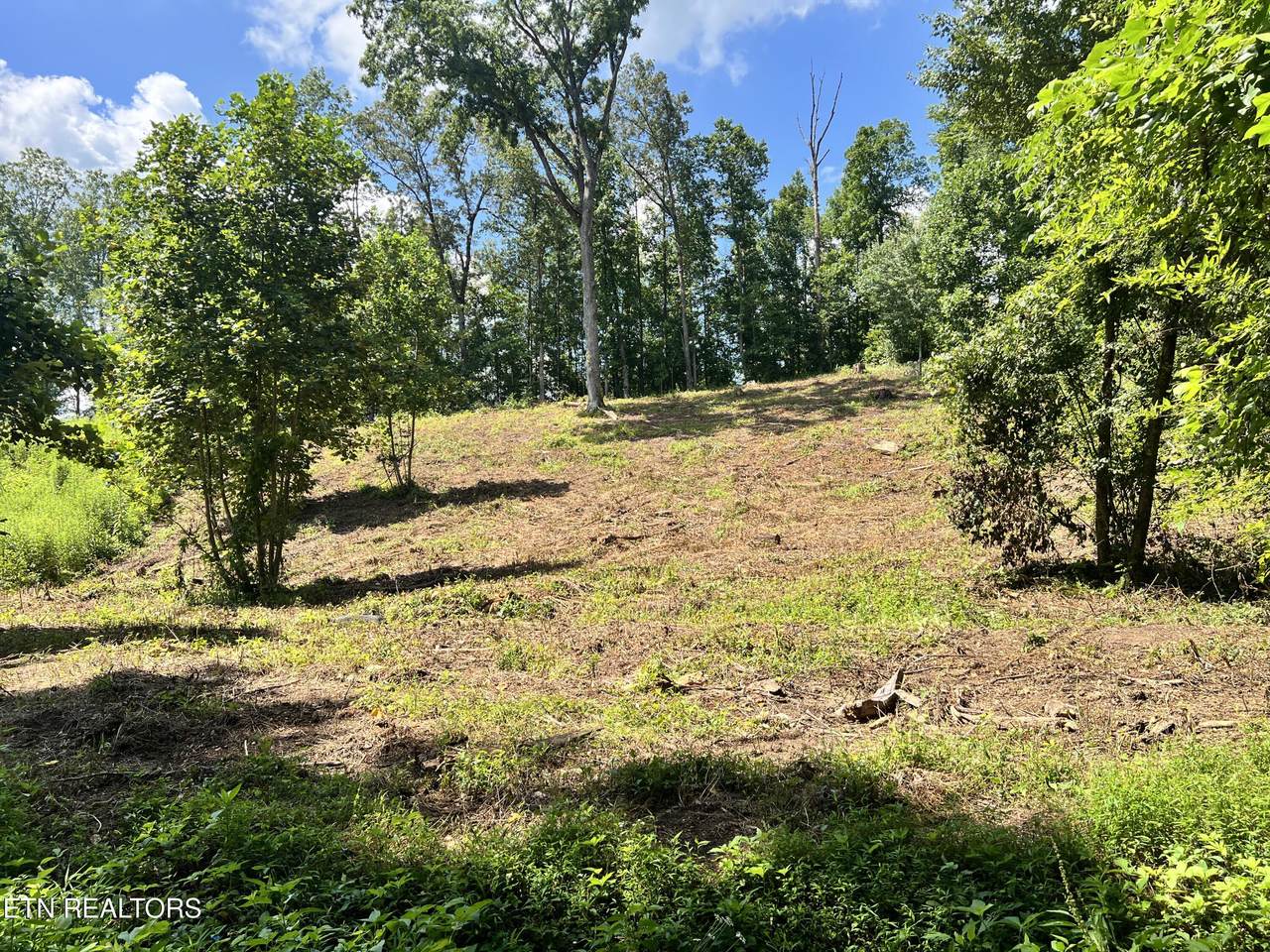 lot 1 Arwine Road - Photo 1