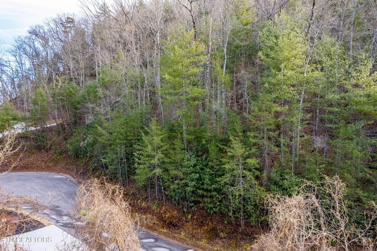 514 Chetola Tr - Photo 1