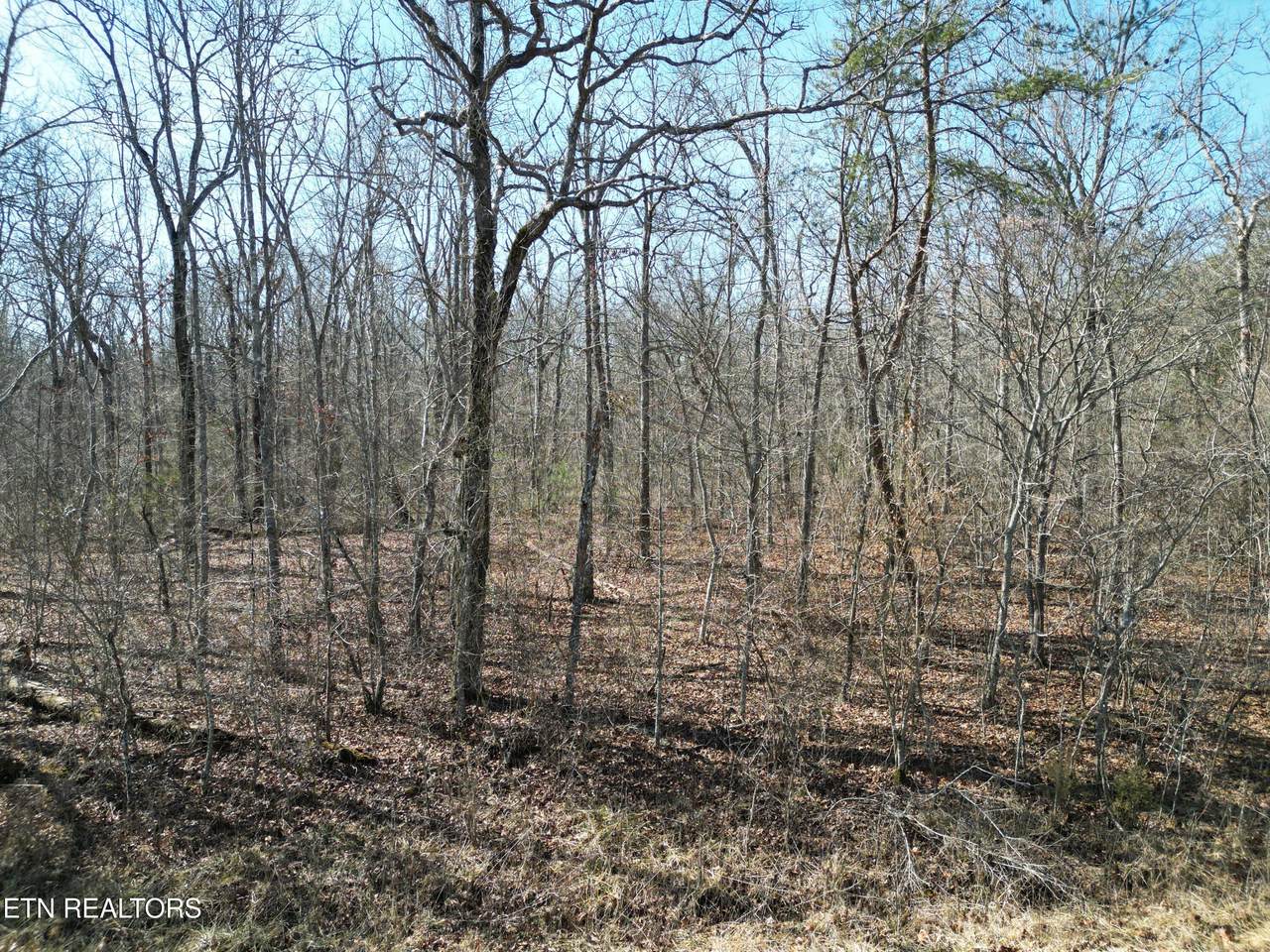 1134 Chanute Tr - Photo 1