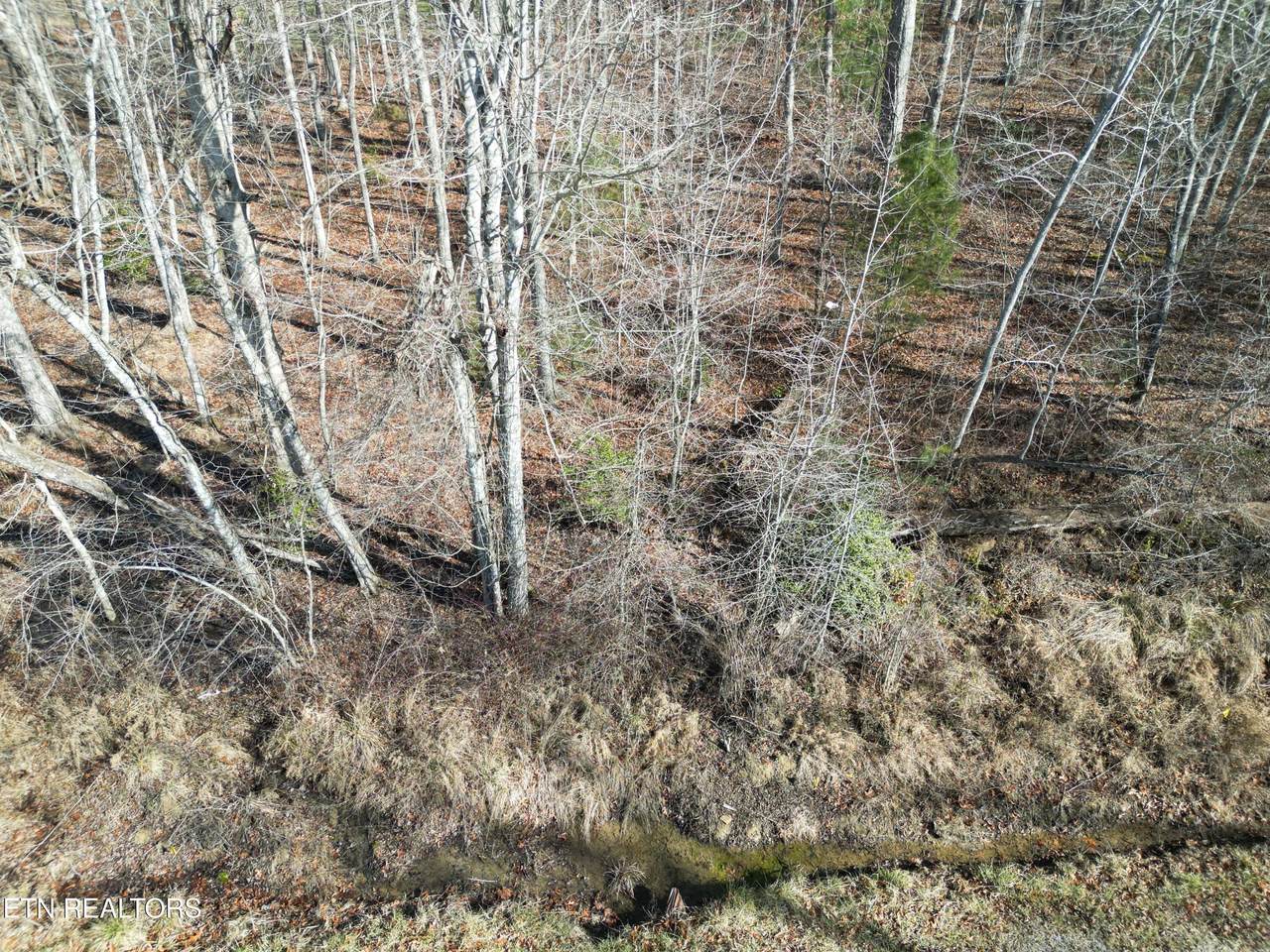 2055 Tecumseh Lane - Photo 1