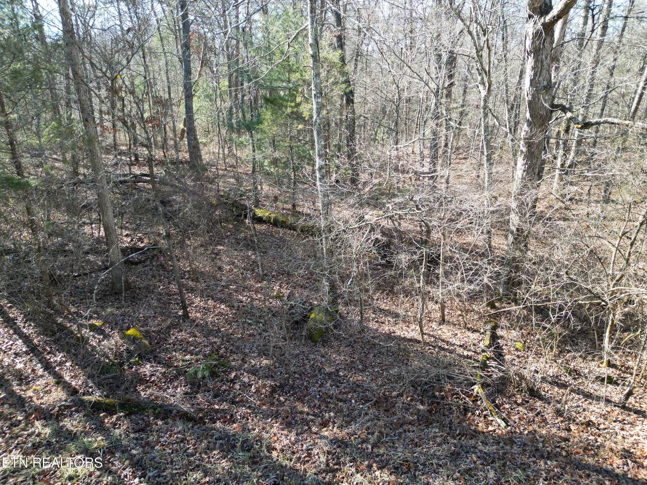 6024 Tomahawk Drive - Photo 1